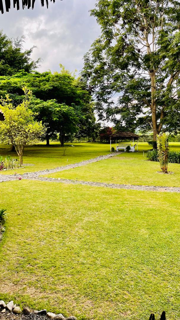 WhatsApp Image 2026-04-13 at 15.37.18