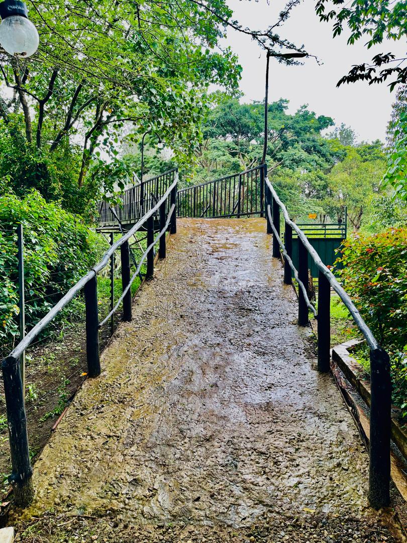 WhatsApp Image 2026-04-13 at 16.07.41